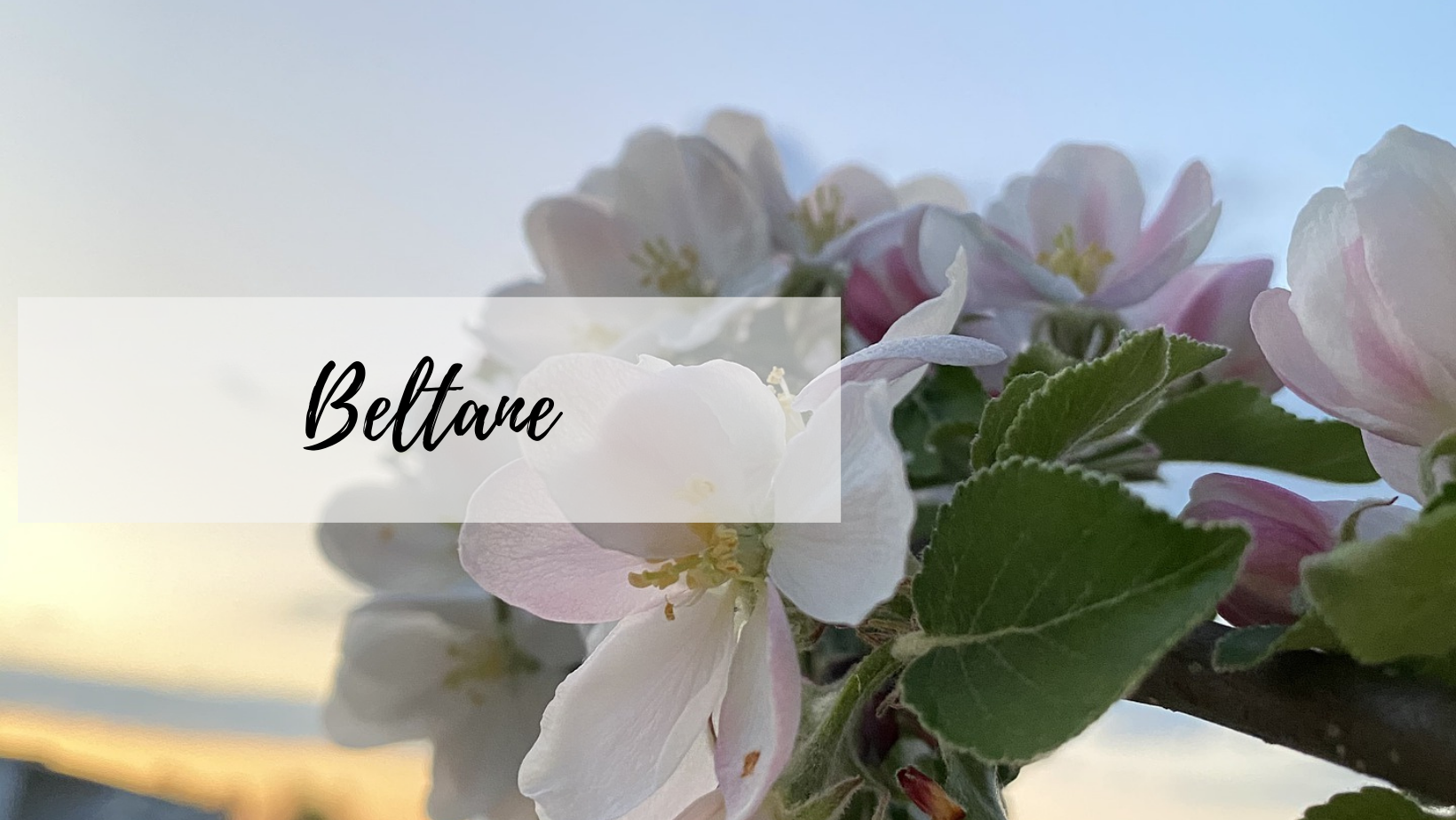 Beltane se fête aussi sur Discord !