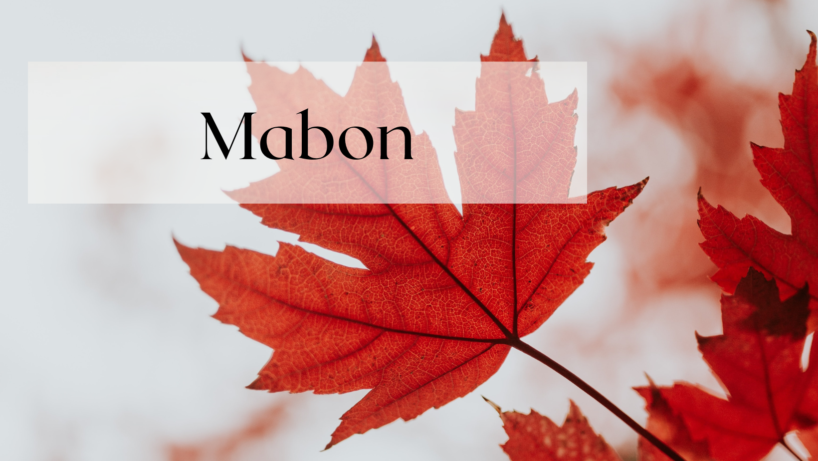 Célébration Mabon